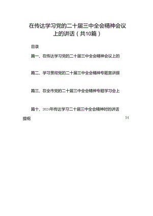 （10篇）在传达学习党的二十届三中全会精神会议上的讲话（最新版）.docx