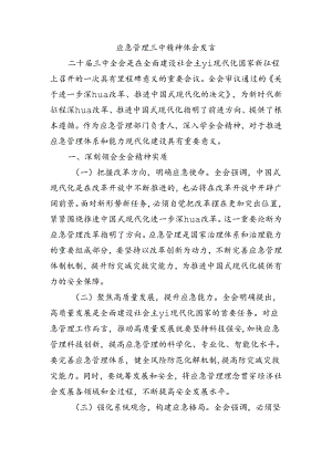 应急管理三中精神体会发言.docx