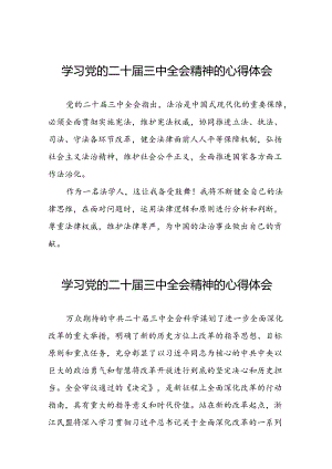 关于二十届三中全会精神学习体会模板.docx