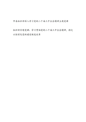 组织部长给组织部党员干部讲授深入学习党的二十届三中全会精神主题党课讲稿宣传报告2篇.docx