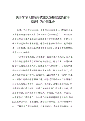 学习《整治形式主义为基层减负若干规定》的心得体会10篇.docx