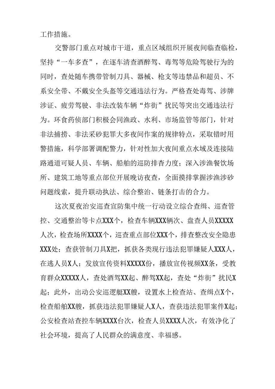 2024年夏季治安打击整治“百日行动”总结汇报13篇.docx_第2页