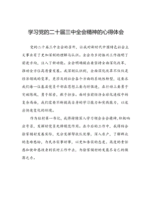 2024学习贯彻党的二十届三中全会精神心得体会十四篇.docx