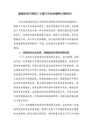 乡镇副镇长学习党的二十届三中全会精神心得体会研讨发言3篇.docx