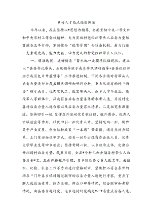 乡村人才亮点经验做法.docx