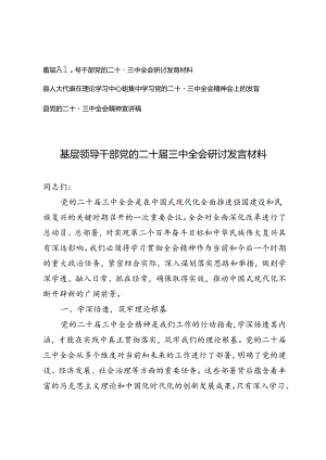 基层领导干部党的二十届三中全会研讨发言材料党的二十届三中全会精神宣讲稿.docx