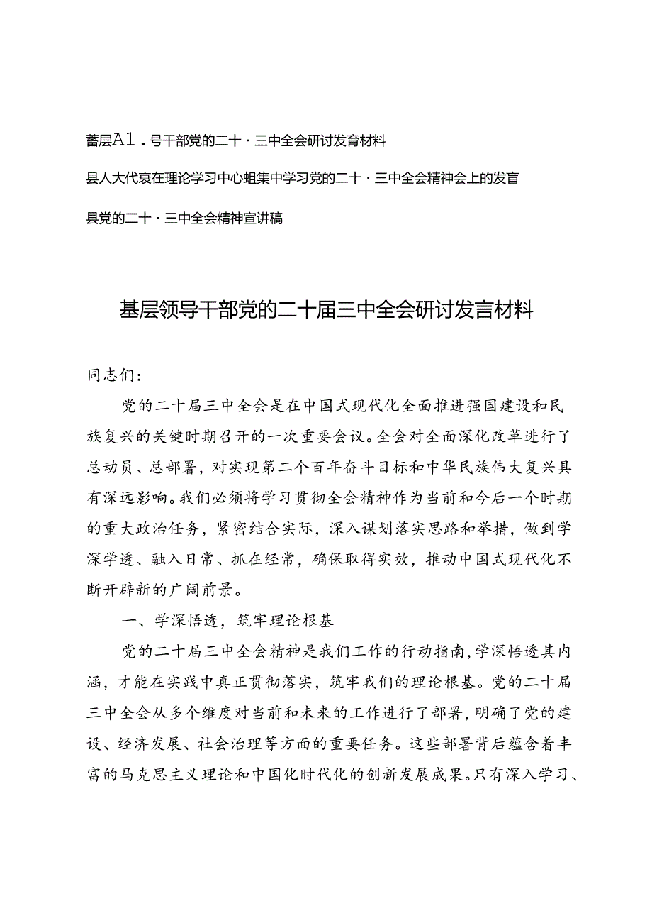 基层领导干部党的二十届三中全会研讨发言材料党的二十届三中全会精神宣讲稿.docx_第1页