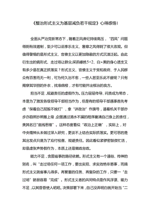 2024年12月学习《整治形式主义为基层减负若干规定》心得体会研讨发言4篇.docx