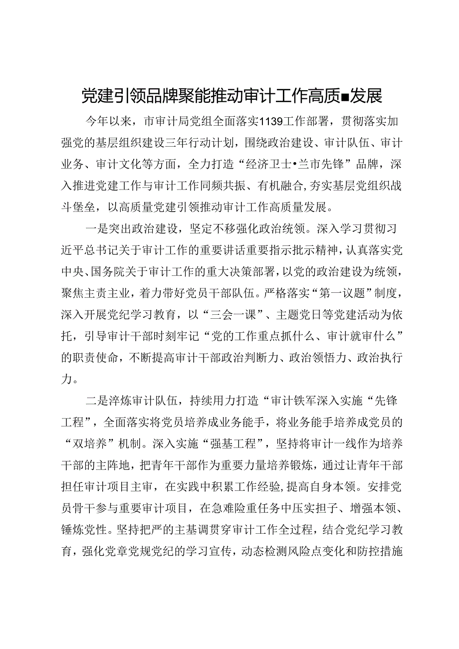 市审计局党组书记交流发言：：党建引领 品牌聚能 推动审计工作高质量发展.docx_第1页