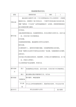 （2024秋）科教版科学一年级上册《植物的变化》教案.docx