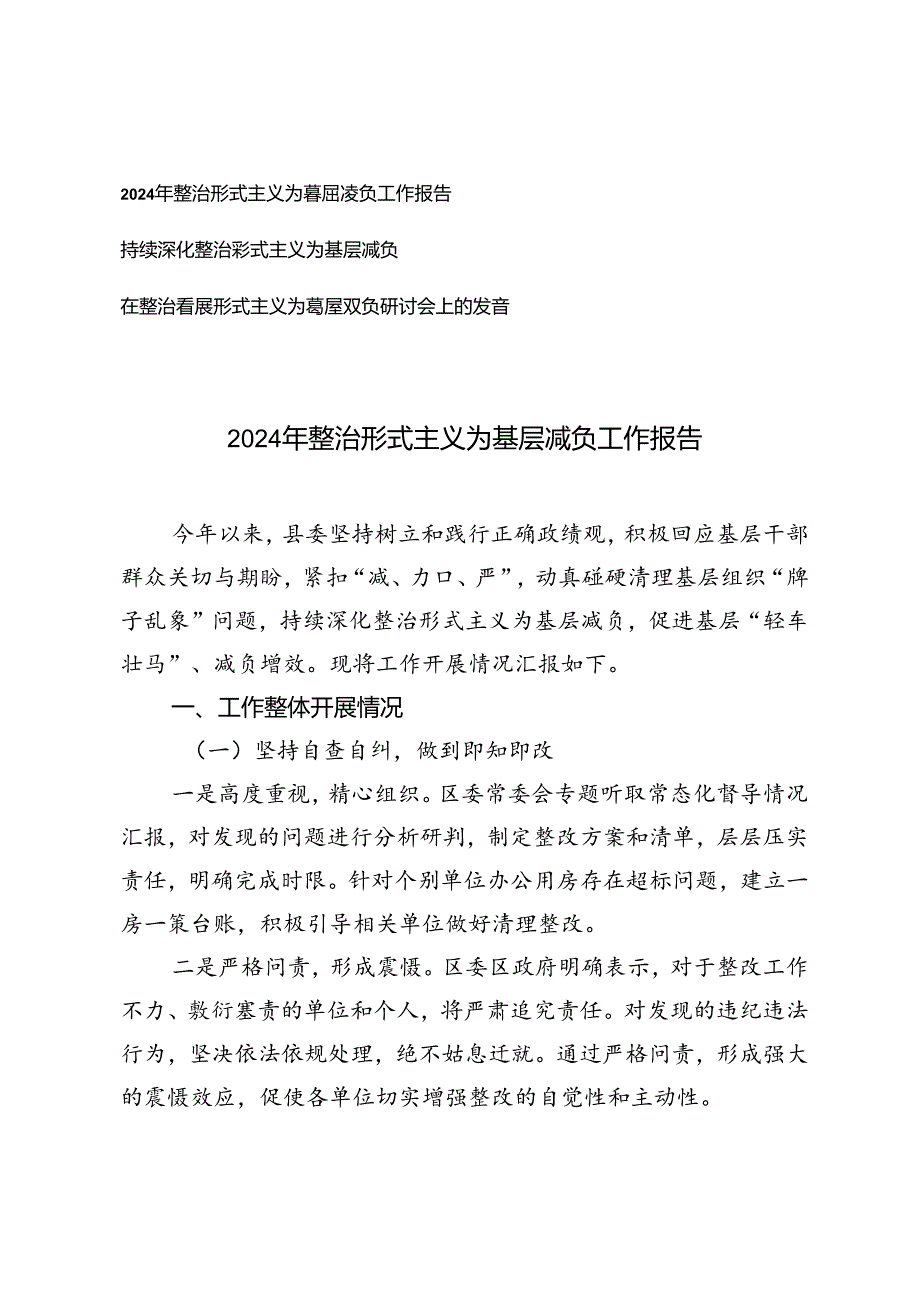 2024年整治形式主义为基层减负工作报告、研讨会上的发言.docx_第1页