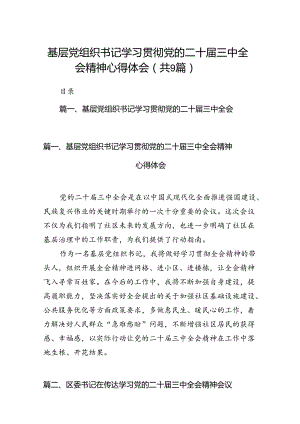 (9篇)基层党组织书记学习贯彻党的二十届三中全会精神心得体会（详细版）.docx