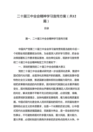 （12篇）二十届三中全会精神学习宣传方案专题资料.docx