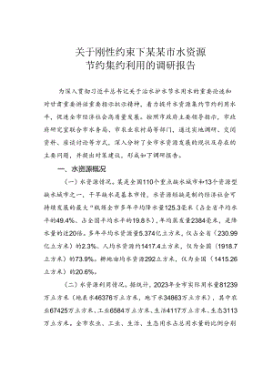 关于刚性约束下某某市水资源节约集约利用的调研报告.docx