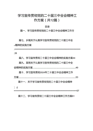 （12篇）学习宣传贯彻党的二十届三中全会精神工作方案范文.docx