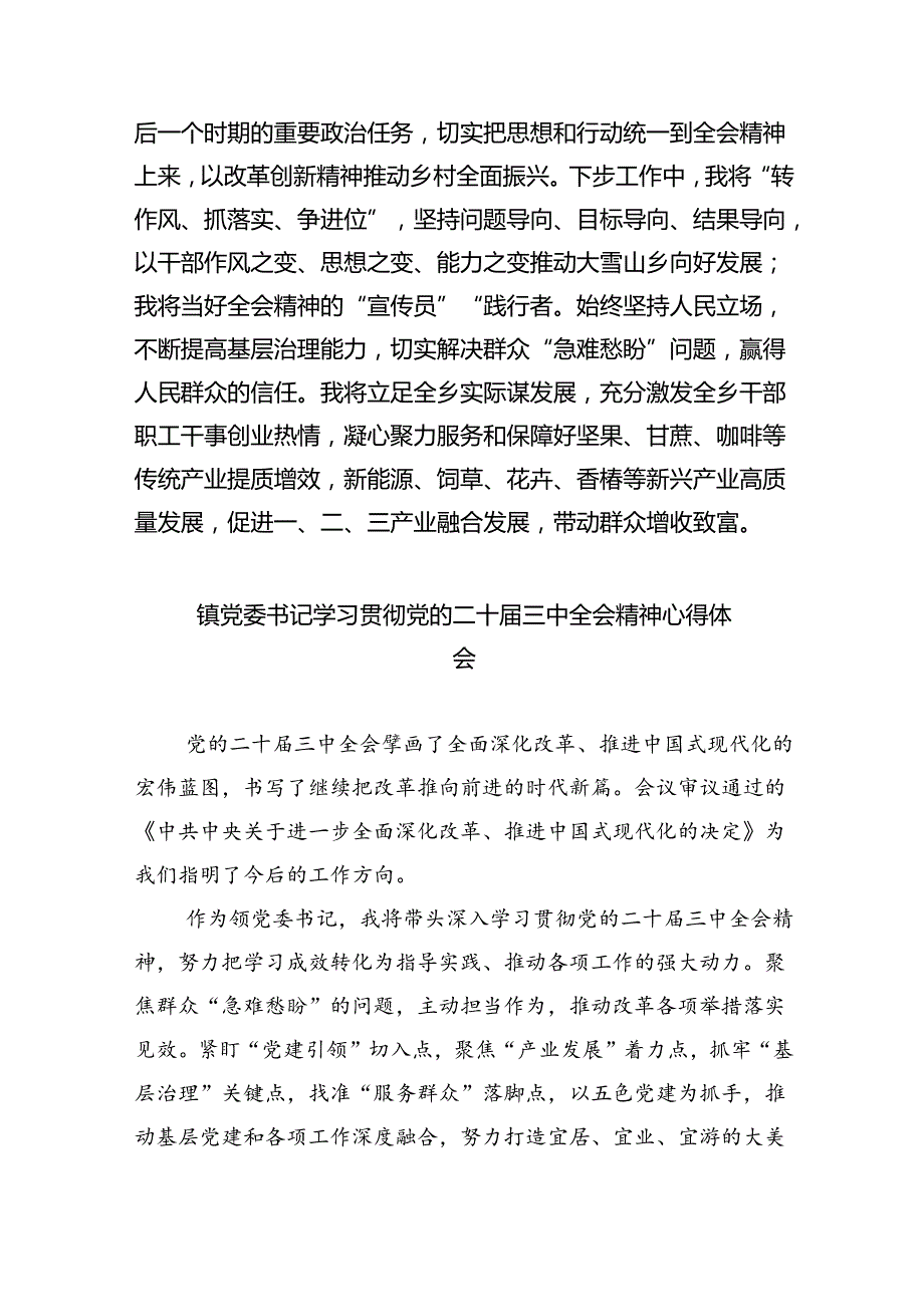 （9篇）乡党委副书记学习贯彻党的二十届三中全会精神心得体会（详细版）.docx_第2页