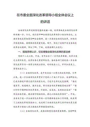 在市委全面深化改革领导小组全体会议上的讲话.docx