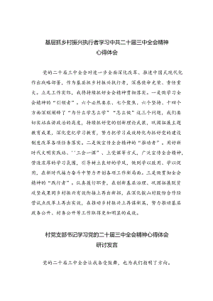 （9篇）基层抓乡村振兴执行者学习中共二十届三中全会精神心得体会范文.docx