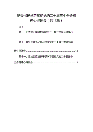 （11篇）纪委书记学习贯彻党的二十届三中全会精神心得体会（精编版）.docx