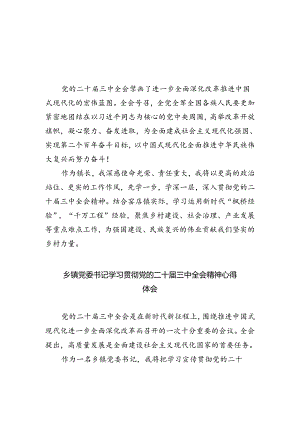 （9篇）镇长学习贯彻党的二十届三中全会精神心得体会最新.docx