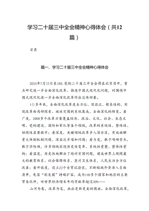 （12篇）学习二十届三中全会精神心得体会范文.docx