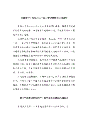 （9篇）年轻审计干部学习二十届三中全会精神心得体会（详细版）.docx