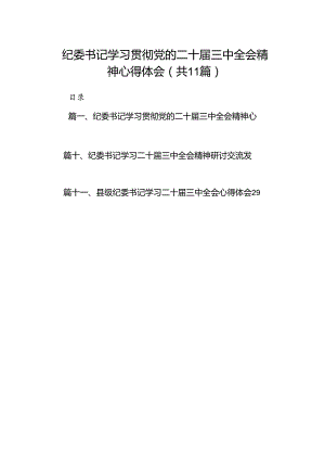 （11篇）纪委书记学习贯彻党的二十届三中全会精神心得体会范文最新.docx