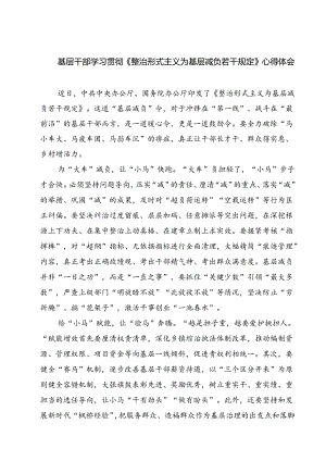 （7篇）基层干部学习贯彻《整治形式主义为基层减负若干规定》心得体会范文.docx