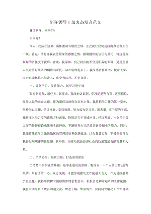 新任领导干部表态发言范文.docx