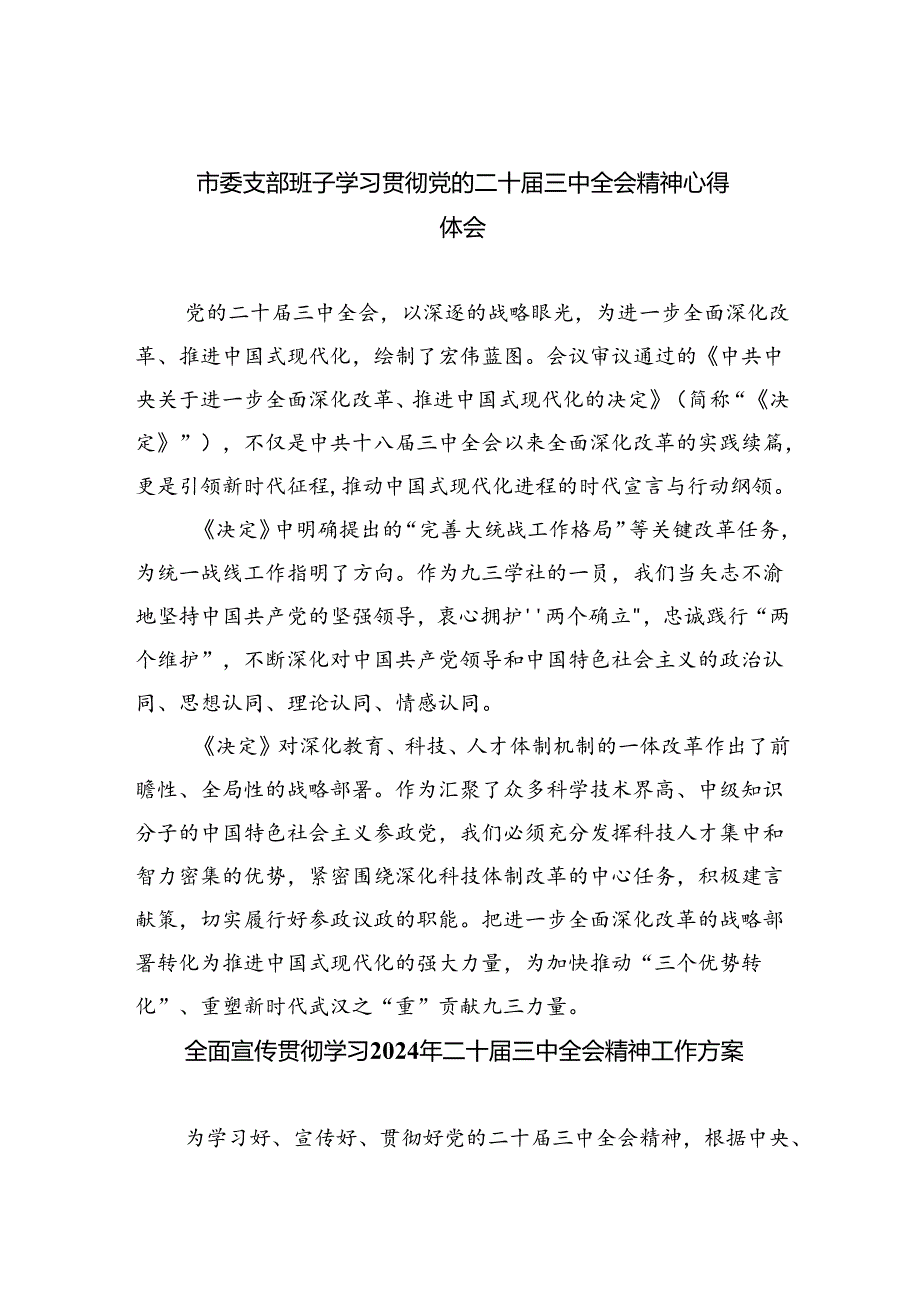 （8篇）市委支部班子学习贯彻党的二十届三中全会精神心得体会范文.docx_第1页