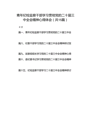 （15篇）青年纪检监察干部学习贯彻党的二十届三中全会精神心得体会（详细版）.docx