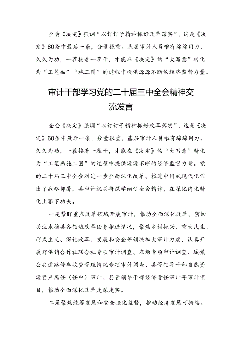 (5篇)审计干部学习二十届三中全会心得体会研讨发言范文.docx_第3页