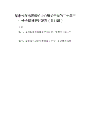 （11篇）某市长在市委理论中心组关于党的二十届三中全会精神研讨发言（精选）.docx