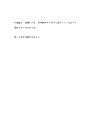 国企公司党委党建带团建专题党课讲稿和经验做法交流材料.docx