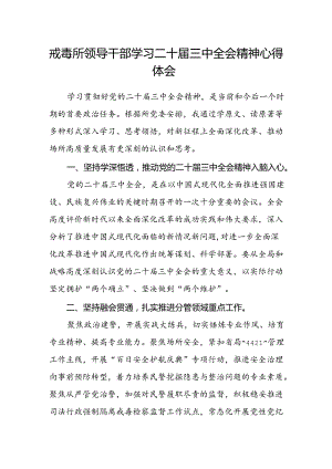 戒毒所领导干部学习二十届三中全会精神心得体会.docx