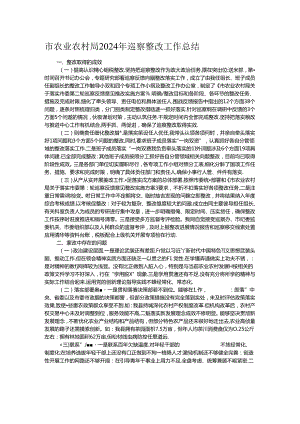 市农业农村局2024年巡察整改工作总结.docx