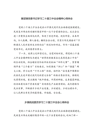 （9篇）基层镇党委书记学习二十届三中全会精神心得体会（最新版）.docx