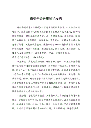 市委全会分组讨论发言.docx