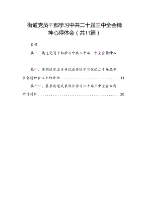 （11篇）街道党员干部学习中共二十届三中全会精神心得体会（详细版）.docx