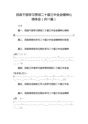 （11篇）民政干部学习贯彻二十届三中全会精神心得体会（详细版）.docx