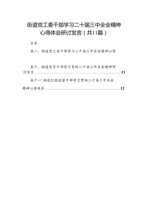 （11篇）街道党工委干部学习二十届三中全会精神心得体会研讨发言（精选）.docx