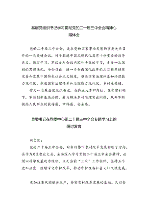 基层党组织书记学习贯彻党的二十届三中全会精神心得体会（共五篇）.docx