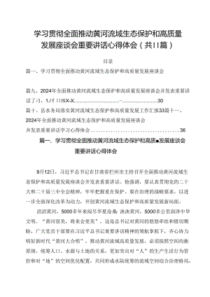 (11篇)学习贯彻全面推动黄河流域生态保护和高质量发展座谈会重要讲话心得体会（详细版）.docx