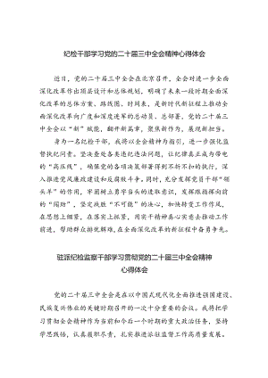 （9篇）纪检干部学习党的二十届三中全会精神心得体会范文.docx