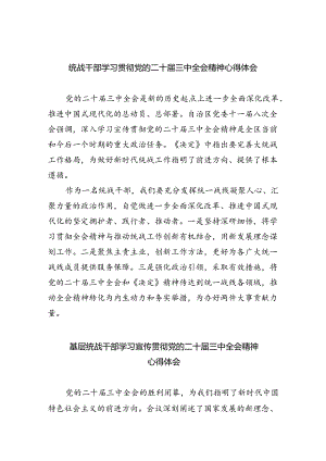 （9篇）统战干部学习贯彻党的二十届三中全会精神心得体会（精选）.docx