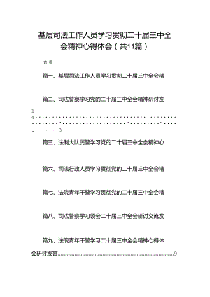 （11篇）基层司法工作人员学习贯彻二十届三中全会精神心得体会范文.docx