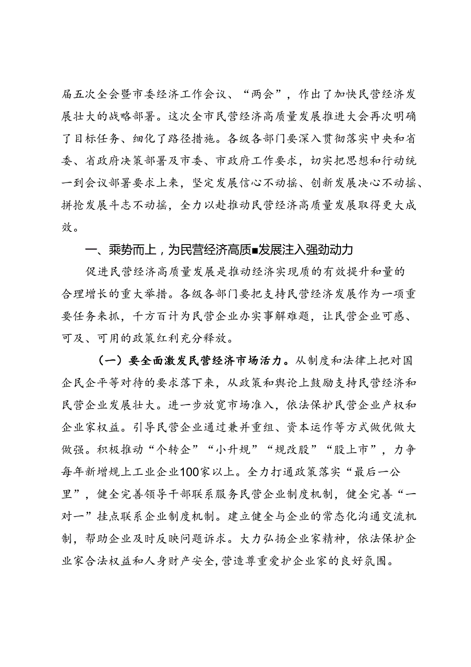 在2024年全市加快民营经济高质量发展推进大会上的讲话.docx_第2页