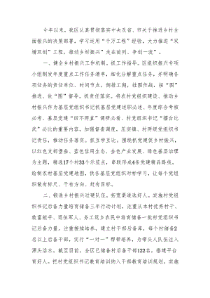 乡村振兴工作现场推进会上的汇报发言.docx