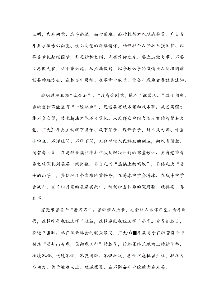 2024年奋进的青春演讲稿.docx_第3页