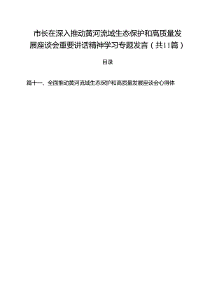 (11篇)市长在深入推动黄河流域生态保护和高质量发展座谈会重要讲话精神学习专题发言范文.docx